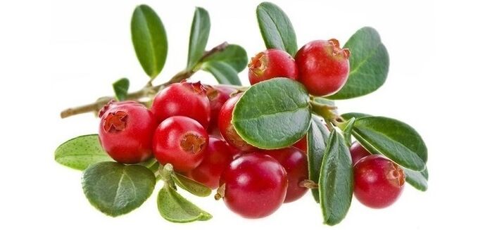 fast treatment of cystitis with natural cranberry capsules Cyto Forte